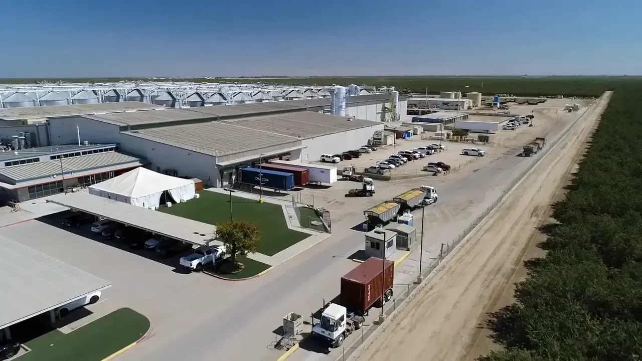 Global Export Logistics